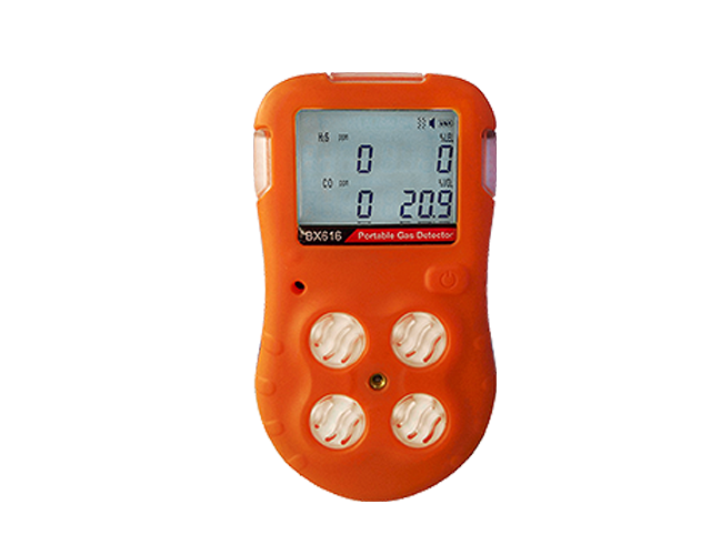 BX616 Portable Gas detection To Detect Multi Gas