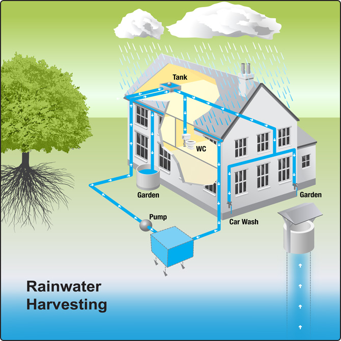 Multi-Layer Rainwater Purifier: Streamlining Initial Filtration for Cleaner Harvests