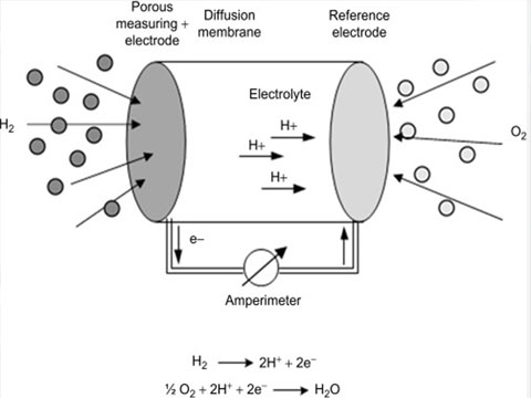 Common Gas Alarm Sensor Types