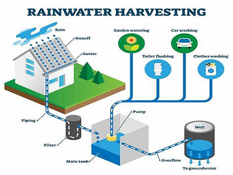 How Rainwater Harvesting Systems Work